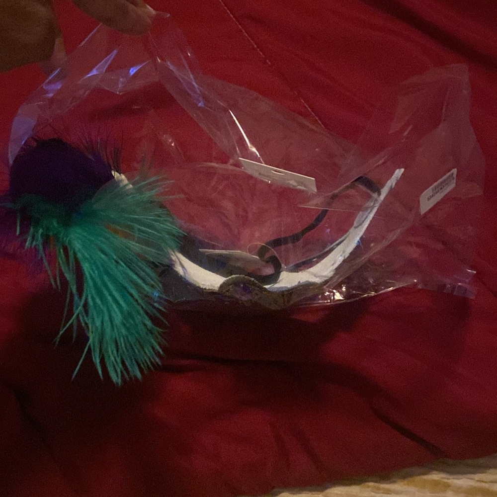 Mardi Gras Mask! Traditional green, gold, and purple mask! - Picture 2 of 5